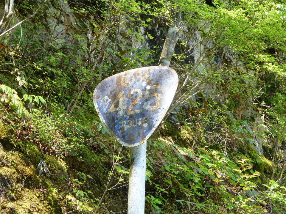 P1050135_mid.jpg