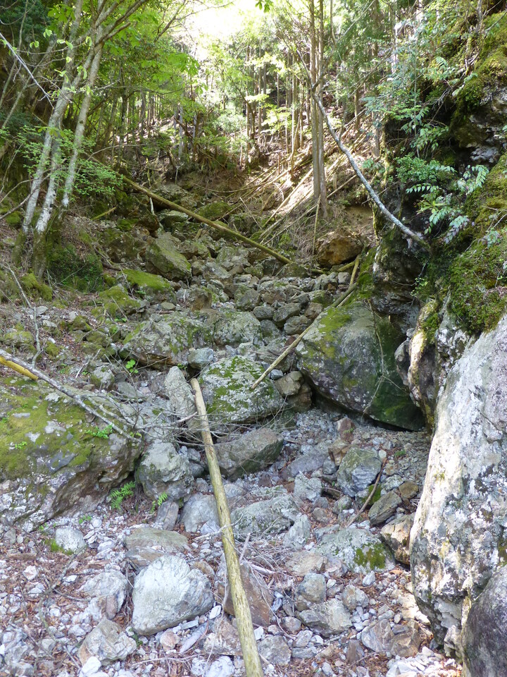 P1050138_mid.jpg