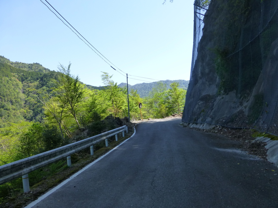 P1050143_mid.jpg