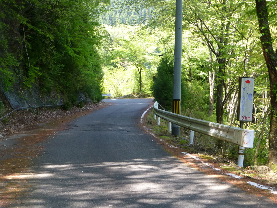 P1050144_mid.jpg