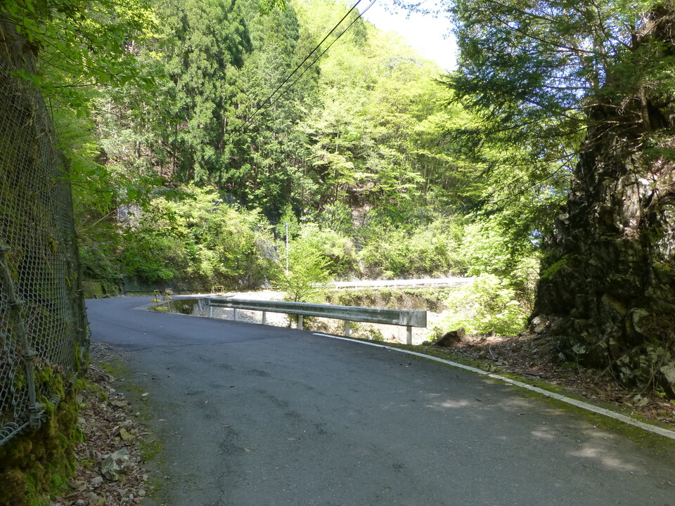 P1050149_mid.jpg