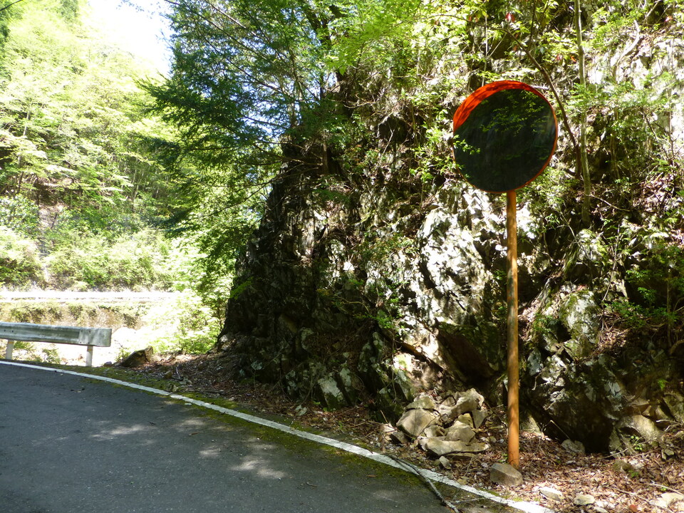 P1050150_mid.jpg
