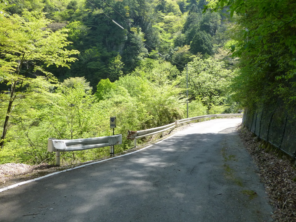 P1050151_mid.jpg