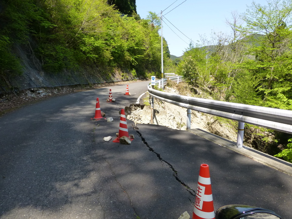 P1050152_mid.jpg
