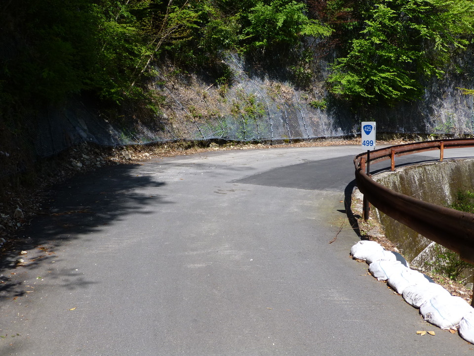 P1050156_mid.jpg