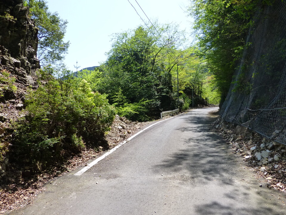 P1050159_mid.jpg