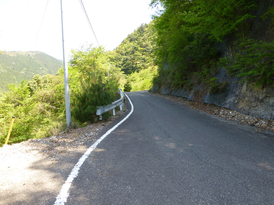 P1050161_mid.jpg