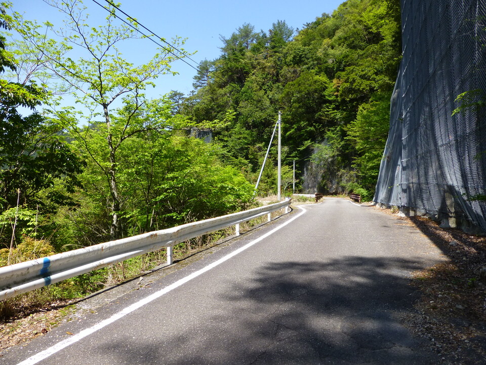 P1050164_mid.jpg