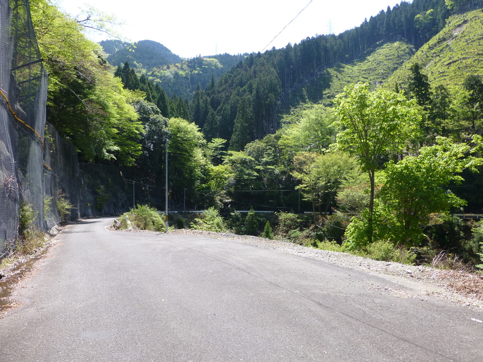 P1050165_mid.jpg