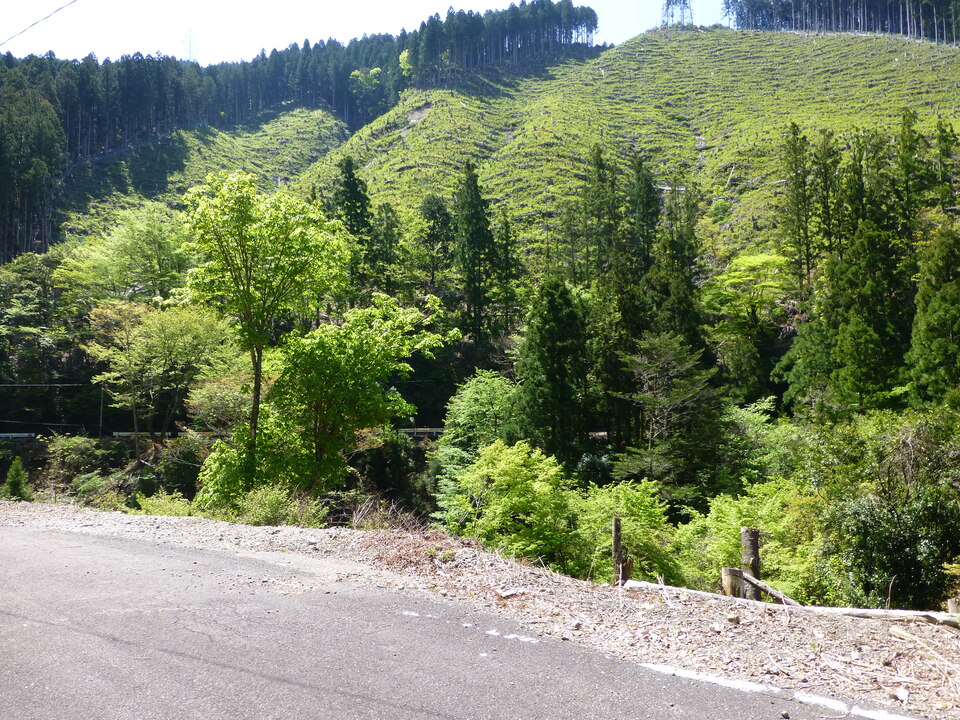 P1050166_mid.jpg