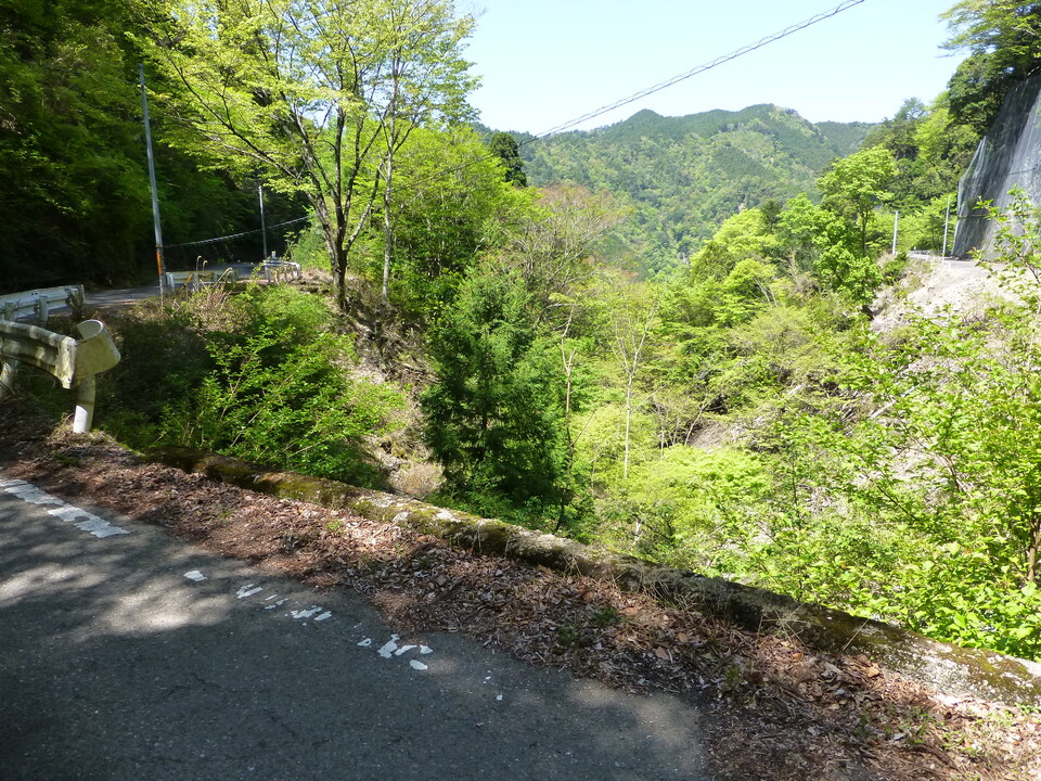 P1050171_mid.jpg