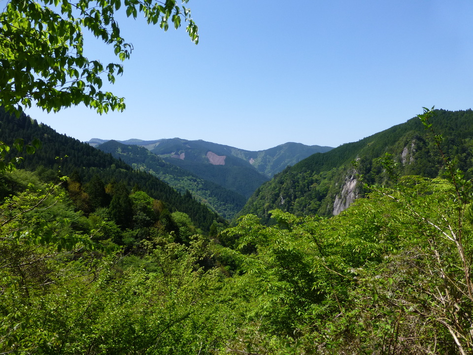 P1050172_mid.jpg
