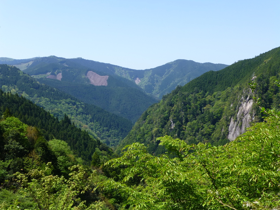 P1050173_mid.jpg