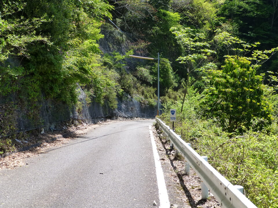 P1050174_mid.jpg