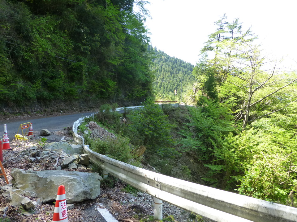 P1050178_mid.jpg