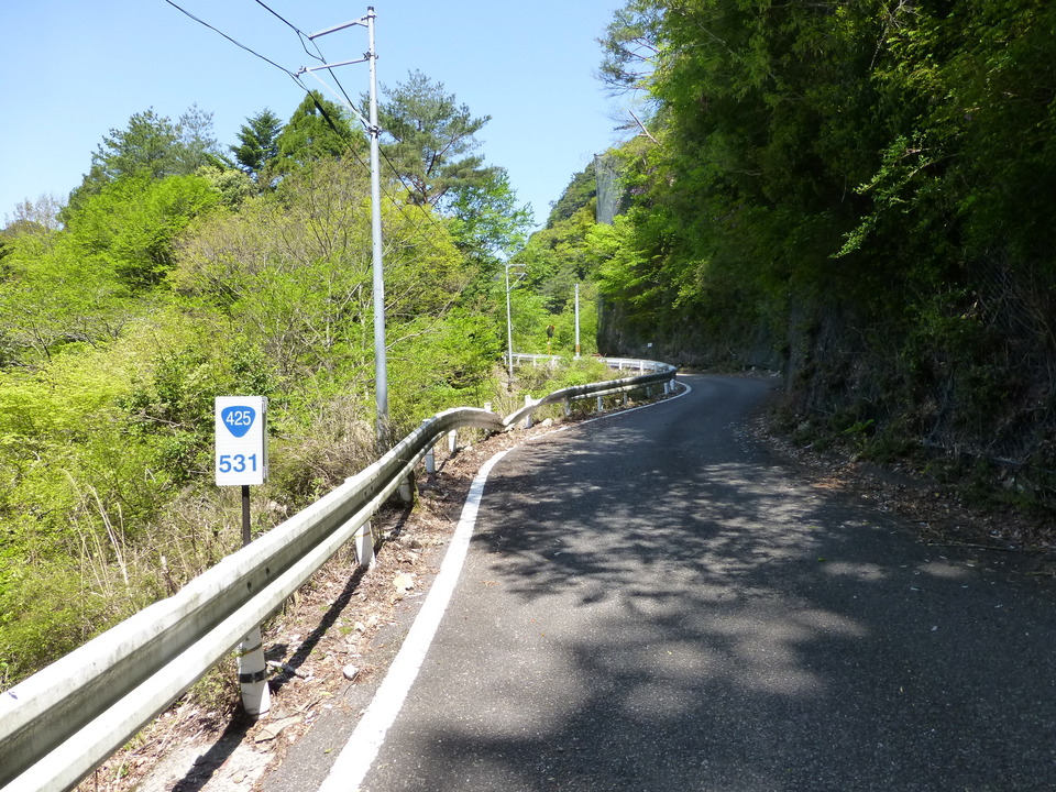 P1050179_mid.jpg
