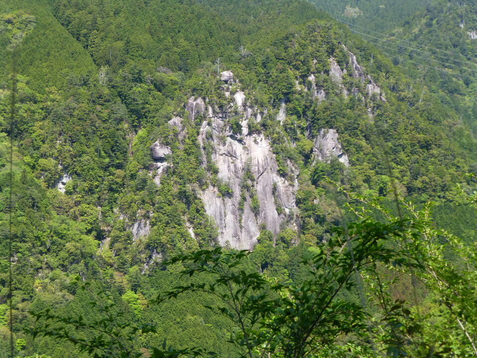 P1050183_mid.jpg