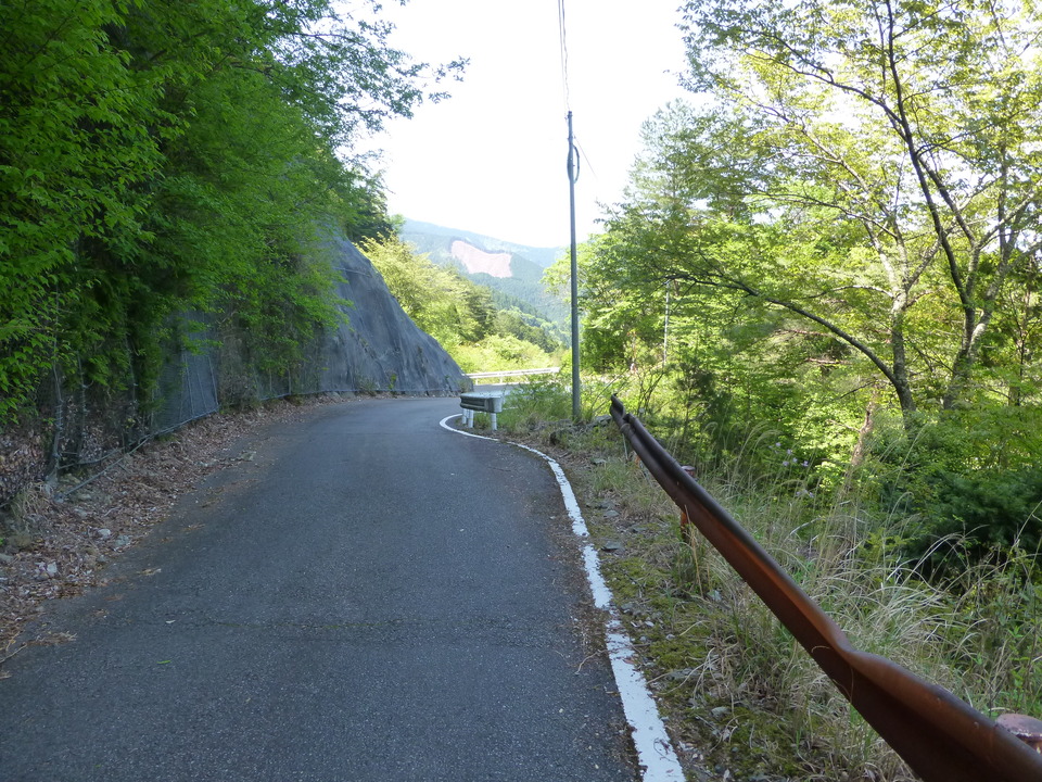 P1050185_mid.jpg