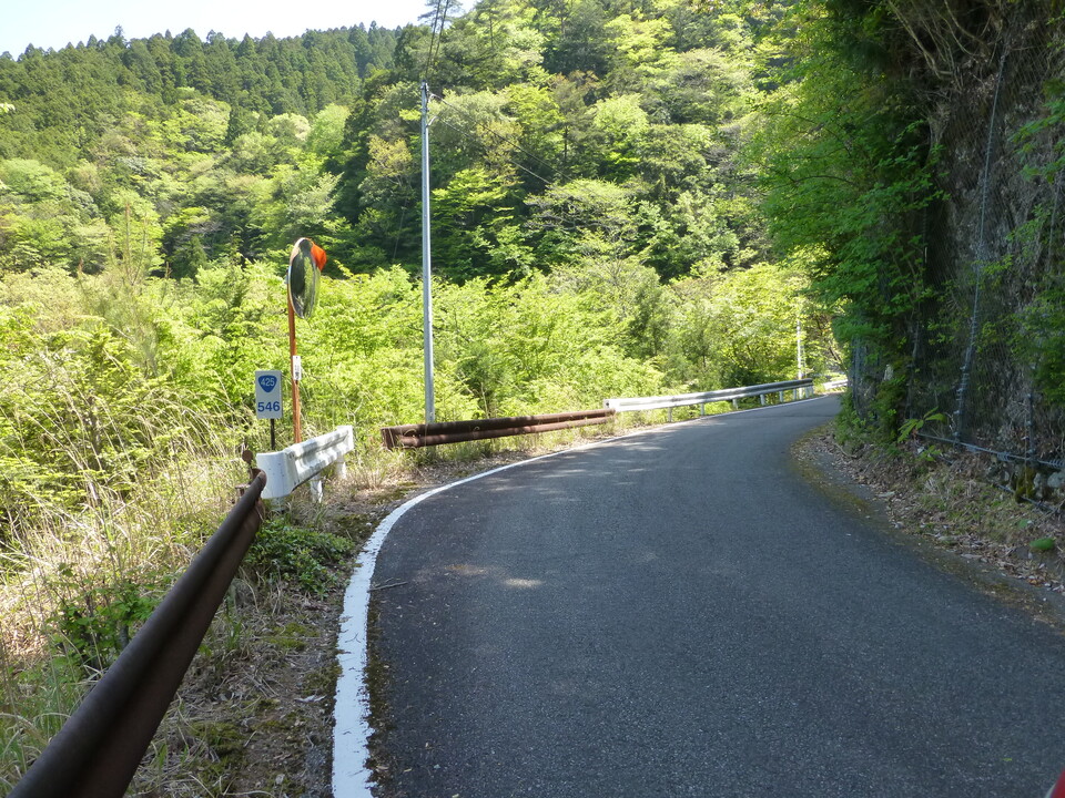 P1050186_mid.jpg