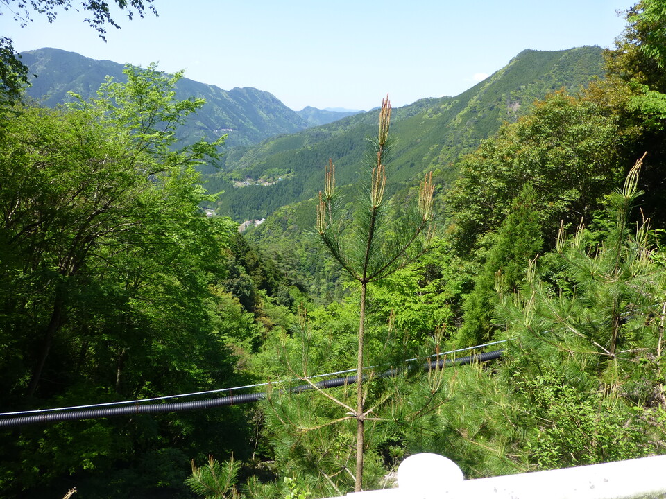 P1050187_mid.jpg