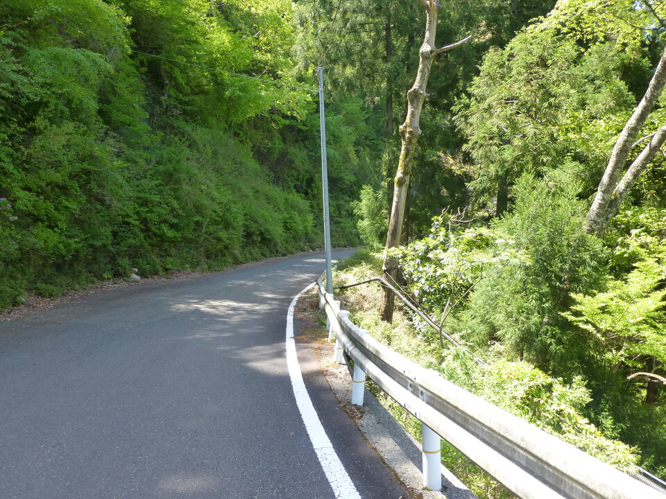 P1050189_mid.jpg