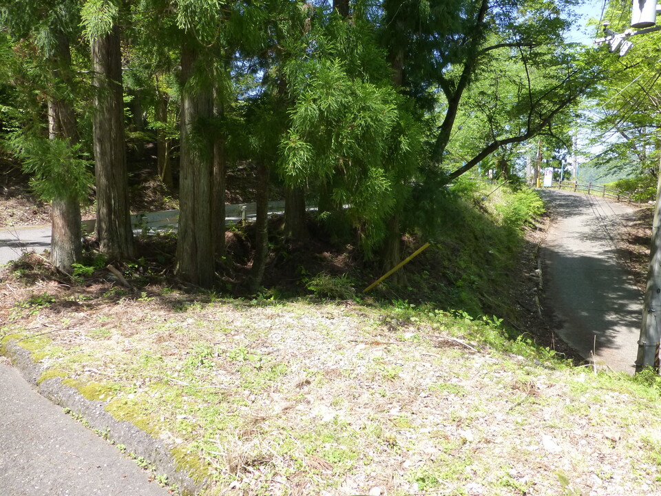 P1050193_mid.jpg