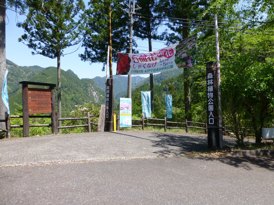 P1050195_mid.jpg