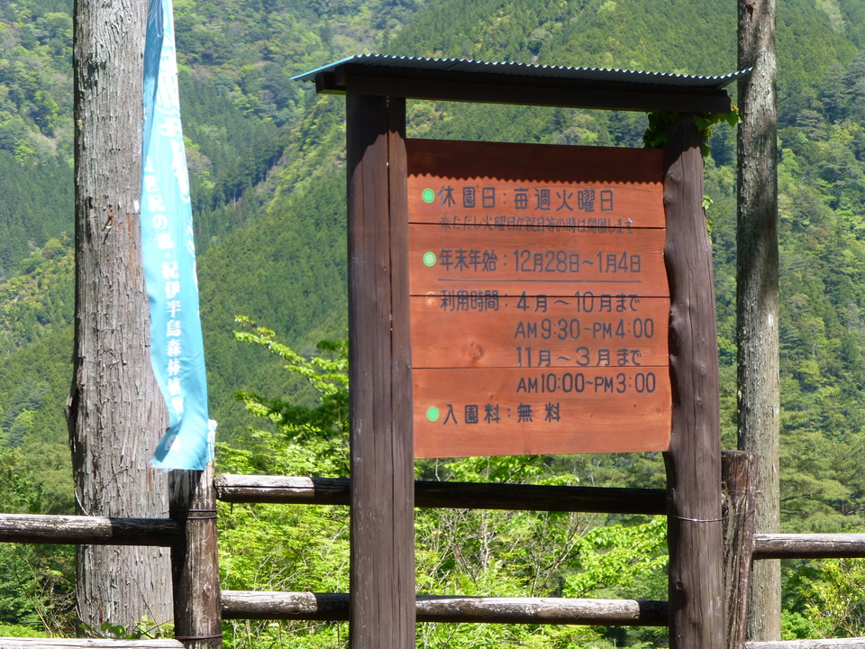 P1050196_mid.jpg
