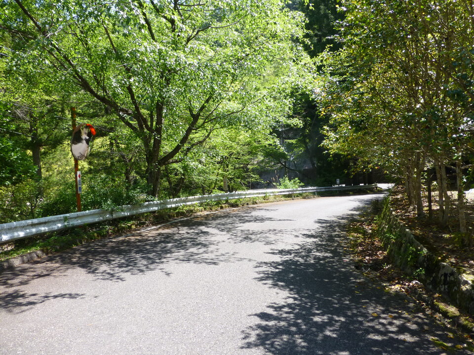 P1050197_mid.jpg