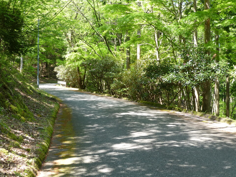 P1050200_mid.jpg