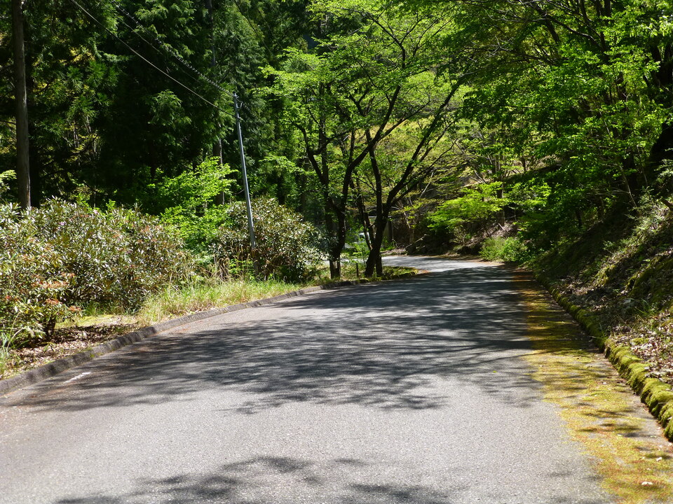P1050201_mid.jpg