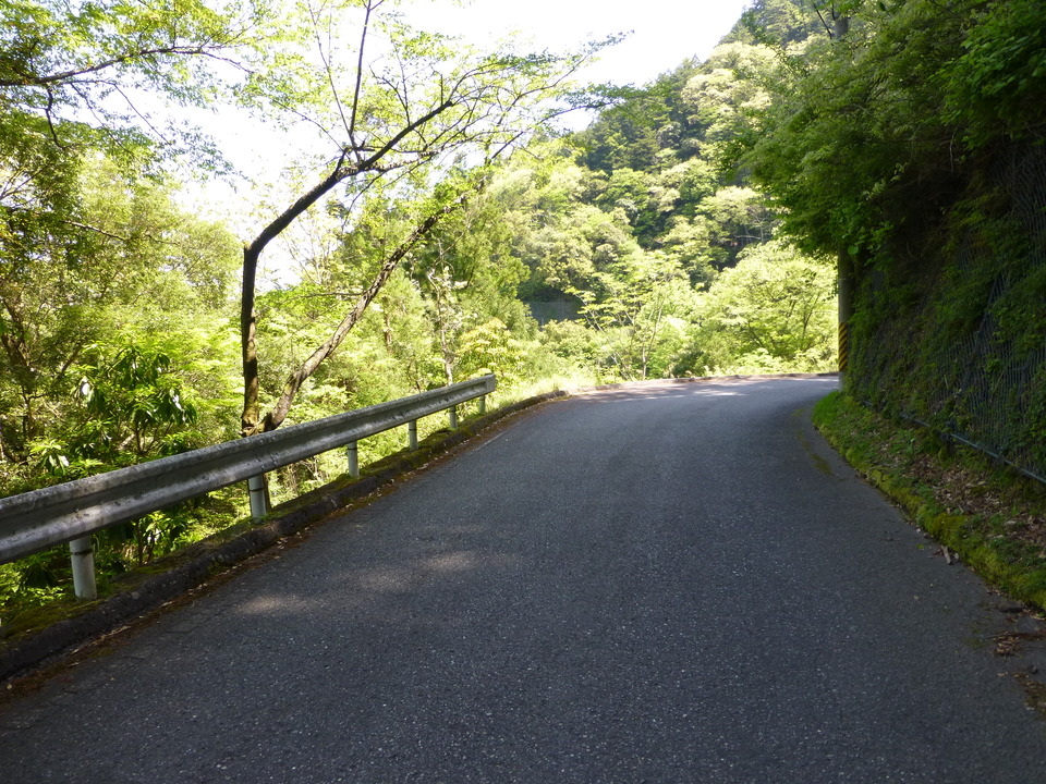 P1050203_mid.jpg
