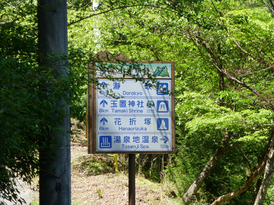 P1050206_mid.jpg