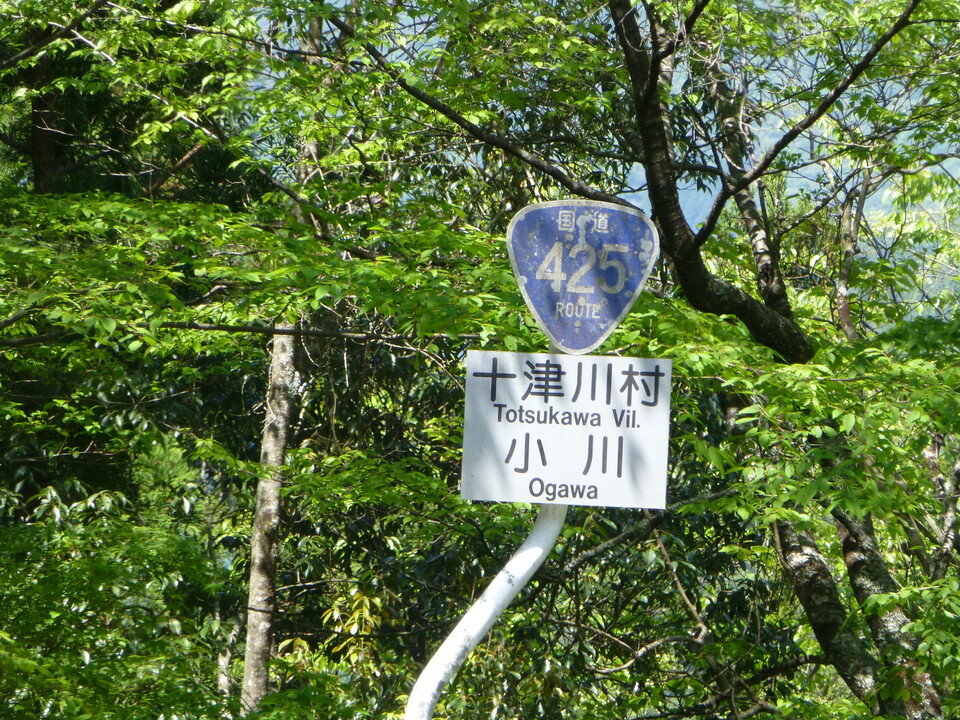 P1050207_mid.jpg