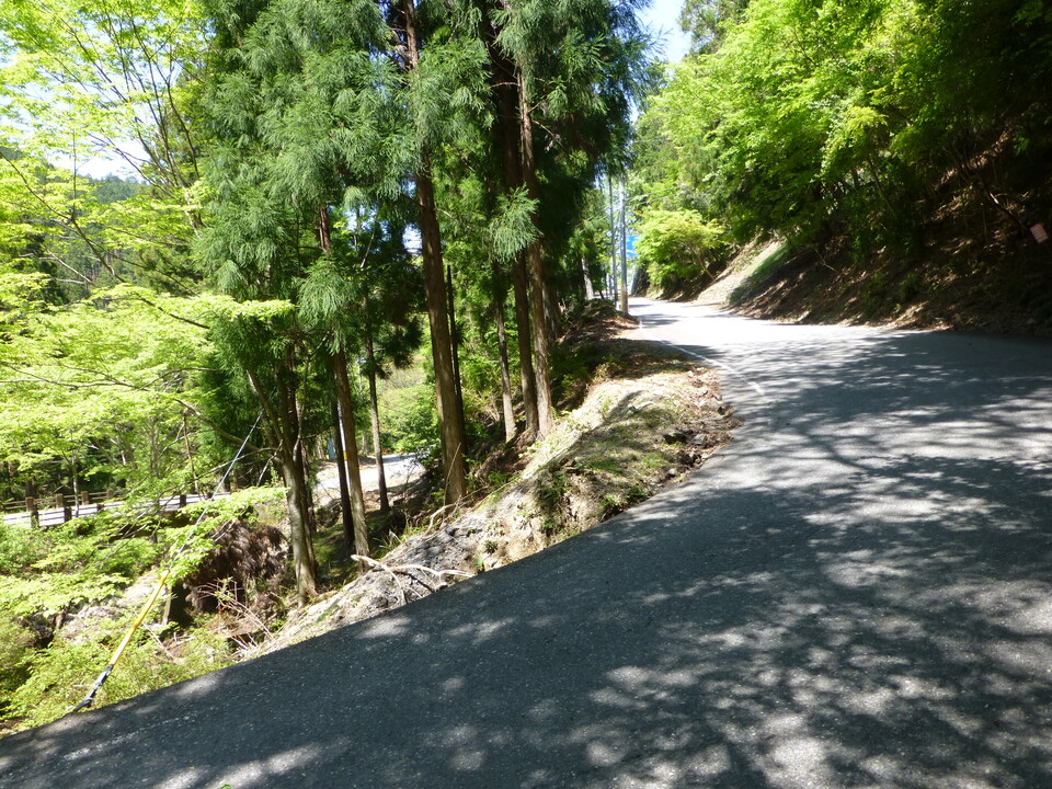 P1050210_mid.jpg
