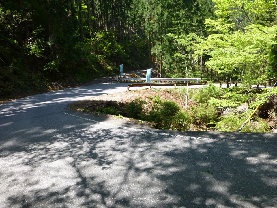 P1050211_mid.jpg