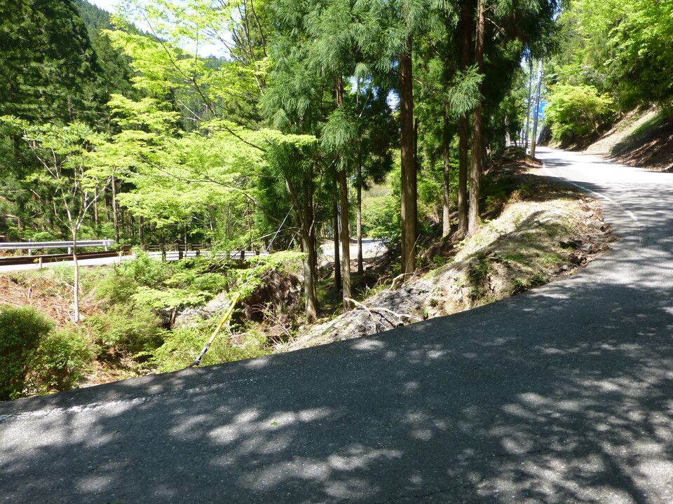 P1050212_mid.jpg