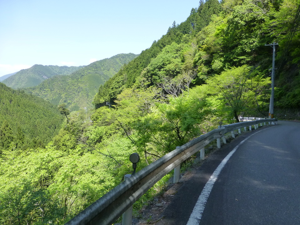 P1050213_mid.jpg