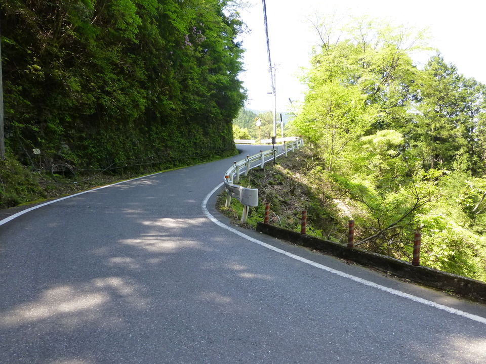 P1050216_mid.jpg