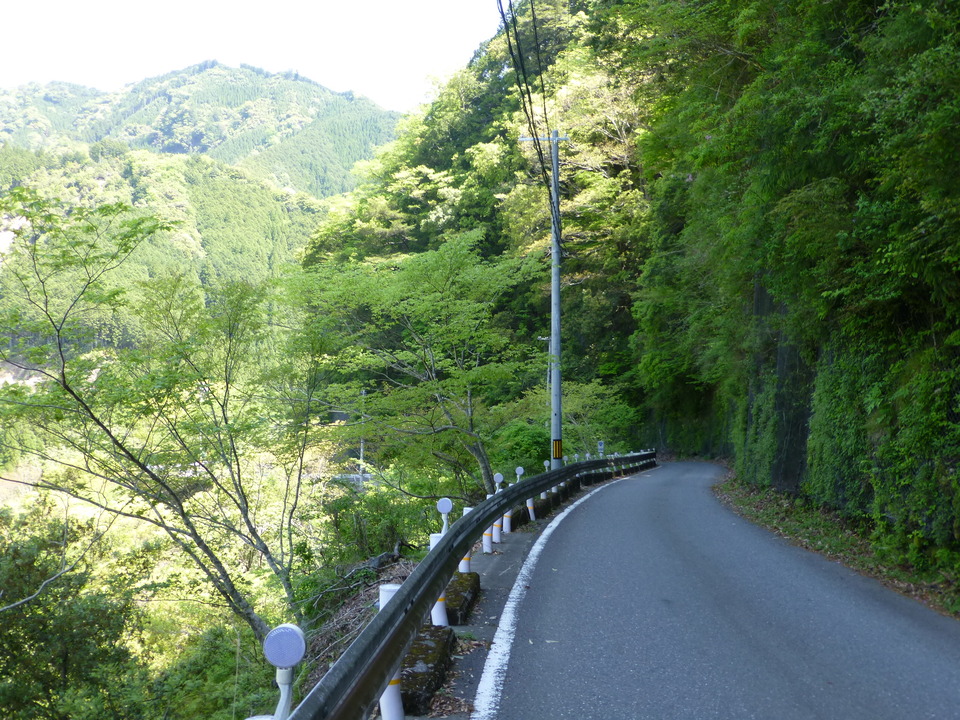 P1050217_mid.jpg