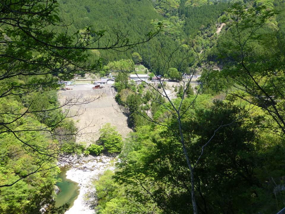 P1050218_mid.jpg