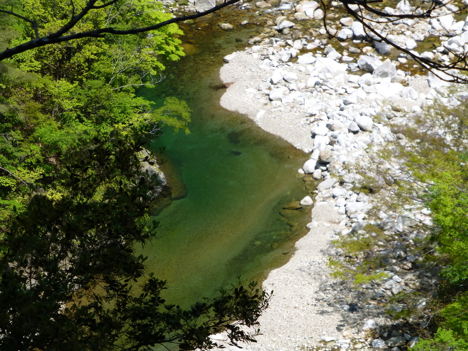 P1050220_mid.jpg