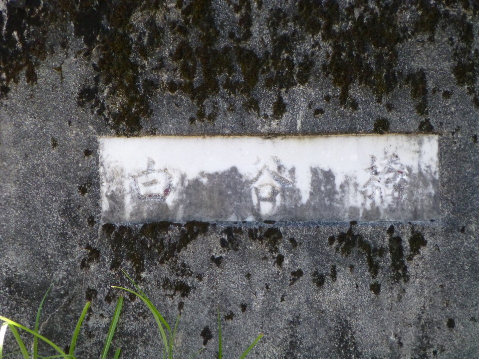 P1050222_mid.jpg