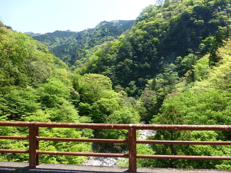 P1050225_mid.jpg