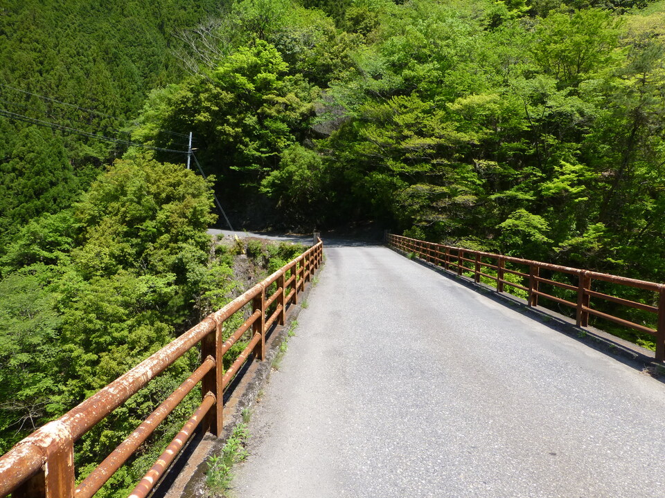 P1050226_mid.jpg