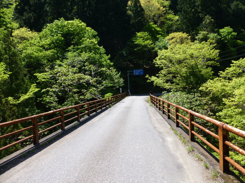 P1050227_mid.jpg