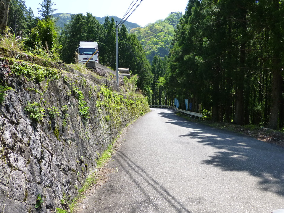 P1050229_mid.jpg