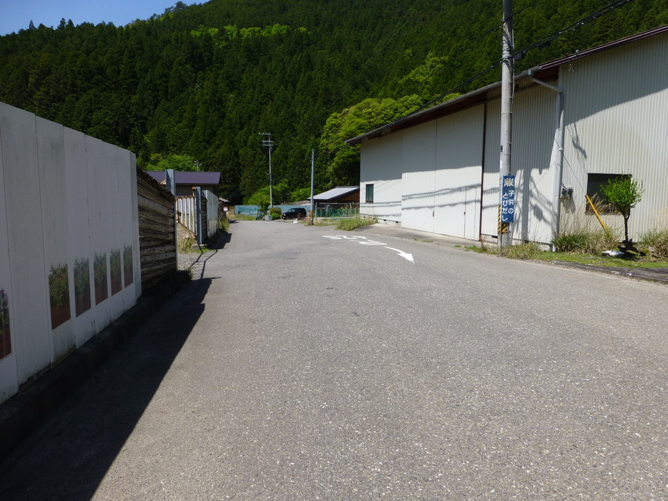 P1050231_mid.jpg