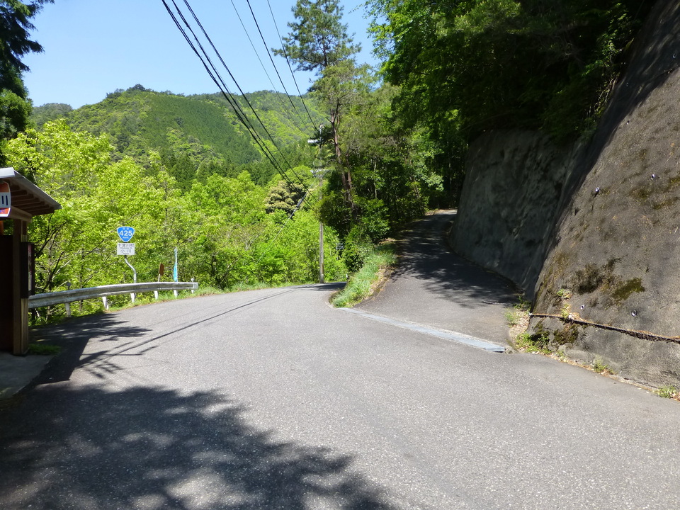 P1050236_mid.jpg