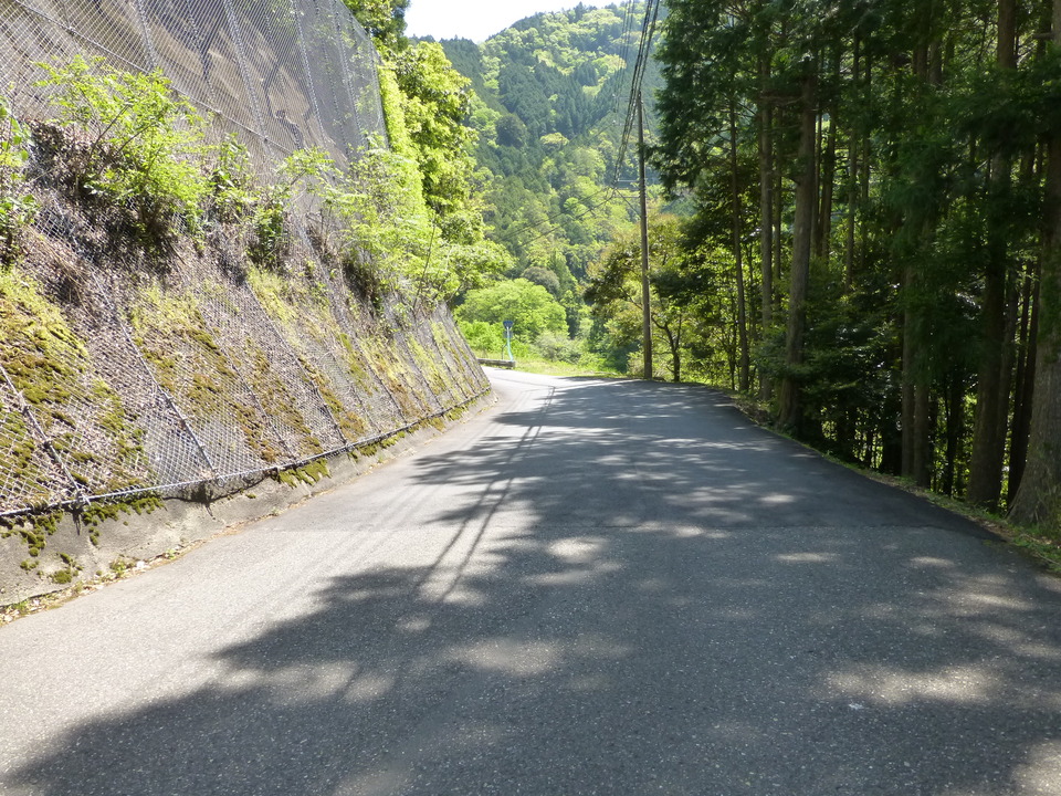 P1050237_mid.jpg